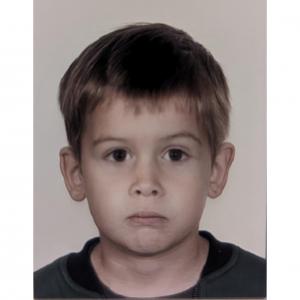 DE LORGERIL Hector